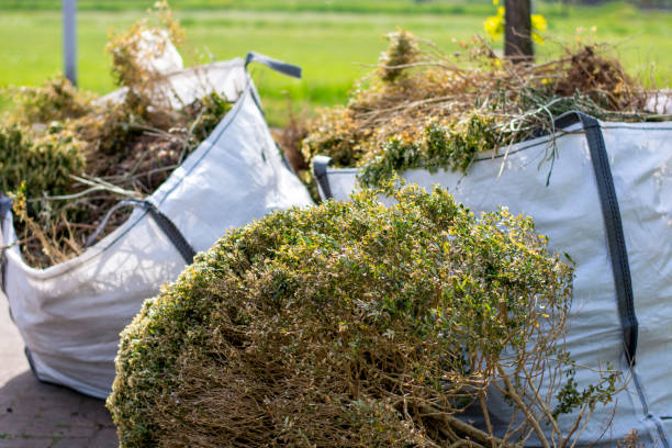 Best Attic Cleanout  in Nampa, ID
