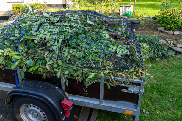 Best Scrap Metal Removal  in Nampa, ID